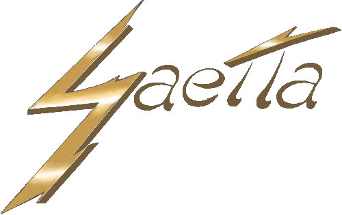 Saetta - Vita da gatti & C.